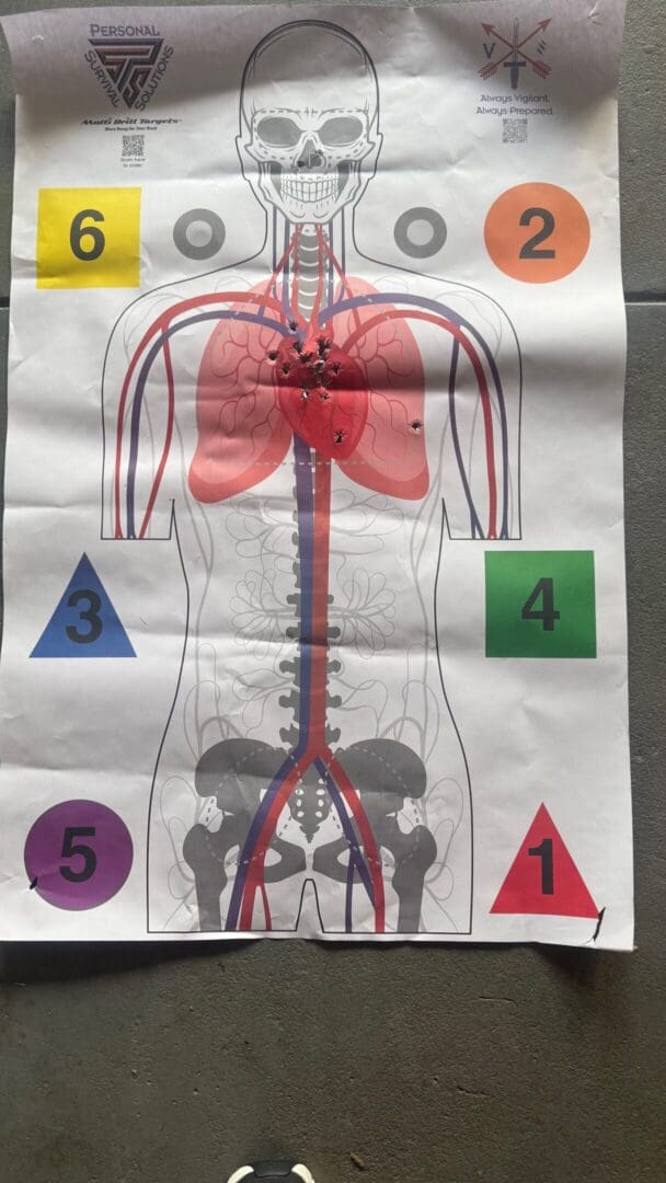 Diagram of human respiratory and urinary systems with colored shapes.